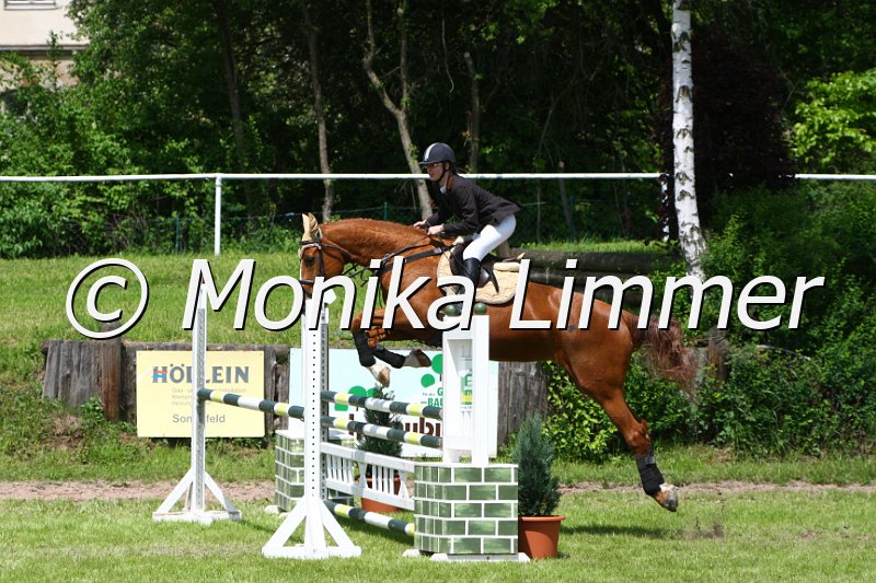 005M5084_Dancing Debby_L Springen.JPG